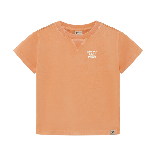 Daily7 Infant/Kid Boy T-shirt Backprint 12m-10y 920349-3328