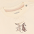 Noppies Infant - Tee Ls P-12m 6100030-1111