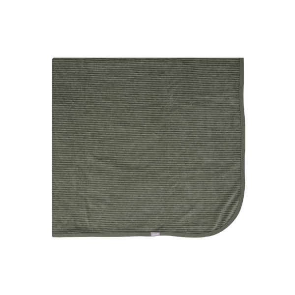 Coccoli Infant Boy Velour Blanket RV5303-834