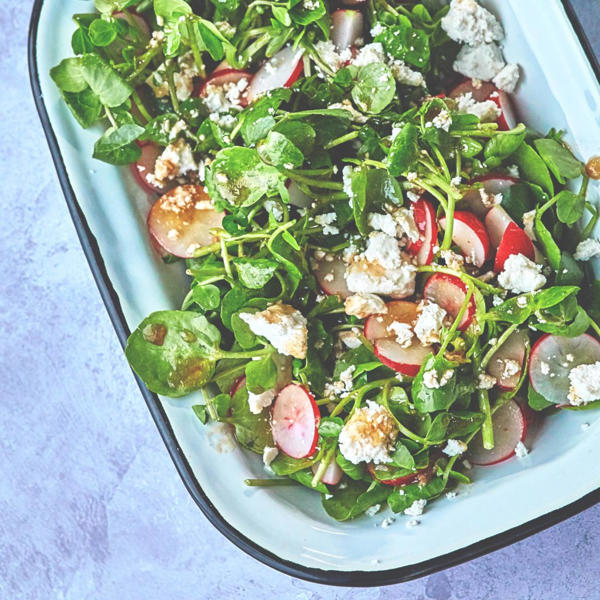 Peppery salad with Oporto Vinegar dressing & Salted Ricotta