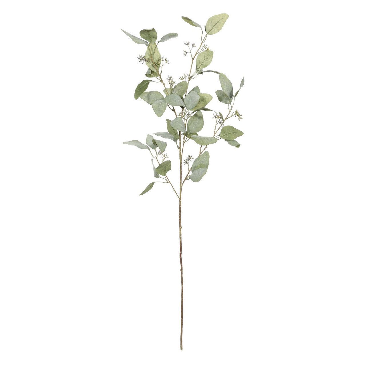Green Botanica Seeded Eucalyptus Stem (115cm) for Natural Decor and ...