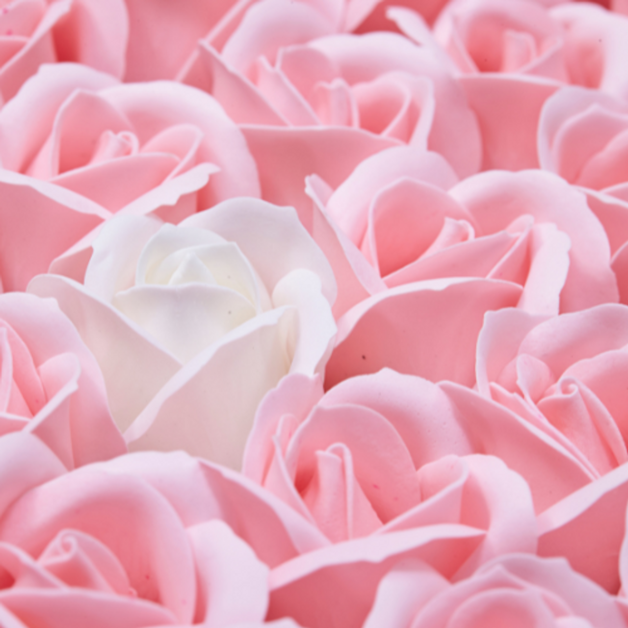 Flowers By Range