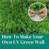 How To Create Your Own Green Wall