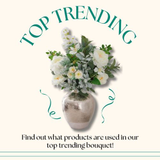 Trending Products - What is trending online at the moment!