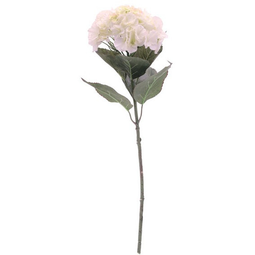 Hydrangea Cream Hydrangea Cream