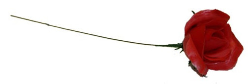 Red Rose Pick (x100)