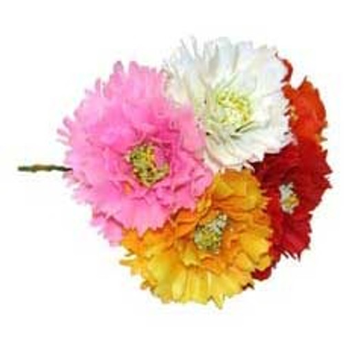 Rose of Sharon Pick (x100) Rose of Sharon Pick (x100)