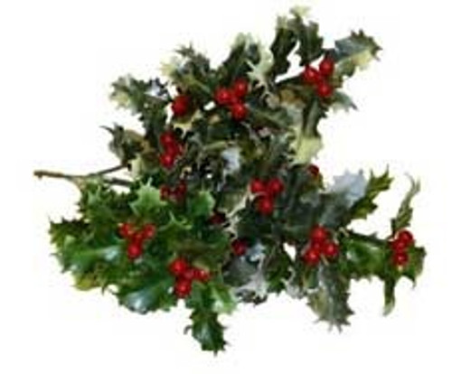 36cm Holly Spray 