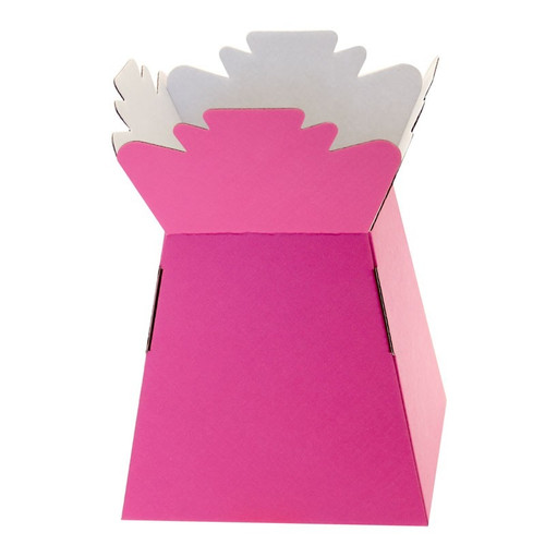 Hot Pink Living Vases