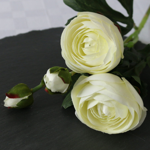 Rannunculus Cream (38cm) Rannunculus Cream (38cm)