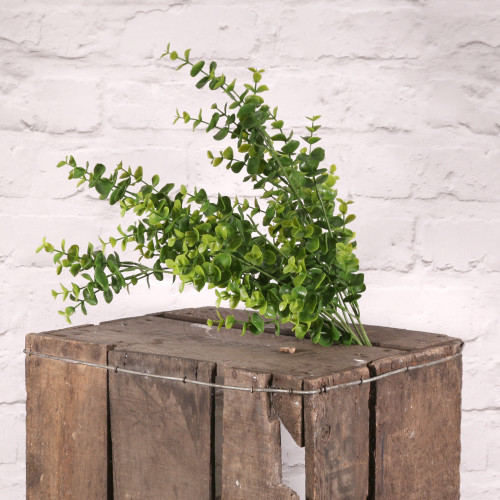 Eucalyptus Bush Mini Leaf Eucalyptus Bush Mini Leaf