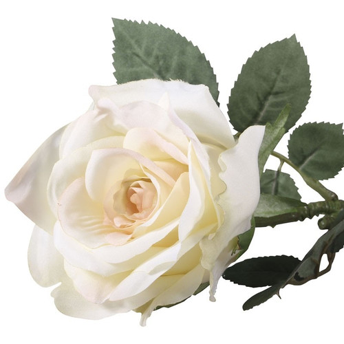 72cm Single Olivia Rose Cream 72cm Single Olivia Rose Cream