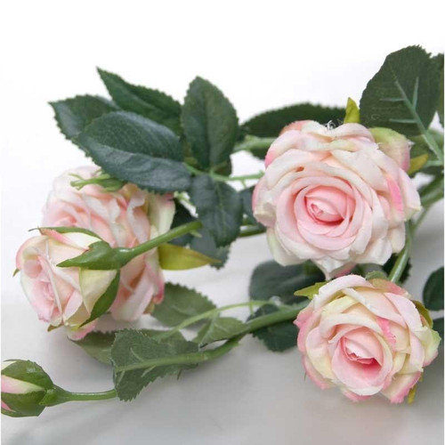 Camelot Garden Rose Spray Cream Pink Camelot Garden Rose Spray Cream Pink