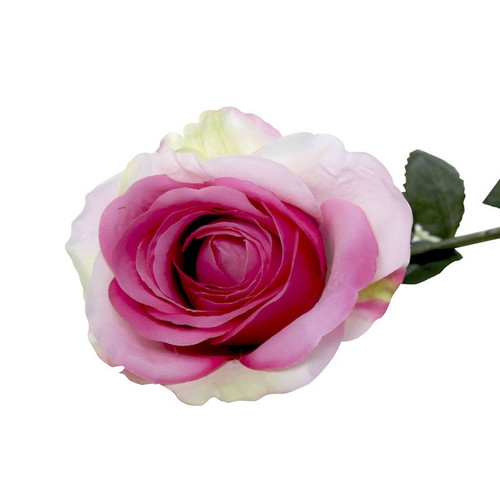 Small Camelot Open Rose Blush Pink Small Camelot Open Rose Blush Pink