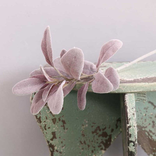 Lambs Ear Leaf on Short Stem Burgundy 