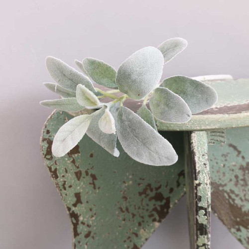 Lambs Ear Leaf on Short Stem Burgundy Green Lambs Ear Leaf on Short Stem Burgundy Green