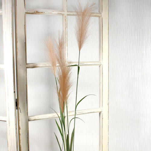 Brown Pampas Grass (145cm)