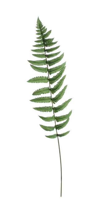 Large Ladder Fern Leaf (70cm) Large Ladder Fern Leaf (70cm)