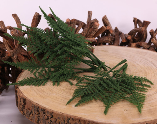 Green Fern Leaves Green Fern Leaves