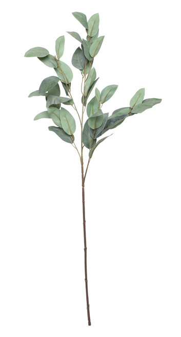 Eucalyptus Spray (36.5inch)