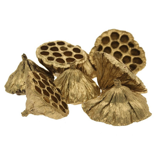 Gold Medium Lotus Heads 