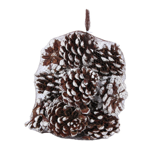 White Tipped Pinea Cones (12pcs) White Tipped Pinea Cones (12pcs)
