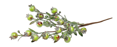 Green Berry Spray Green Berry Spray