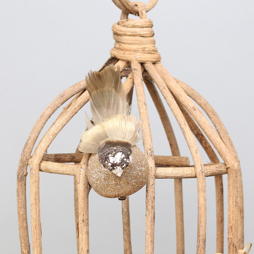 Gold Longtail Finch with clip Gold Longtail Finch with clip