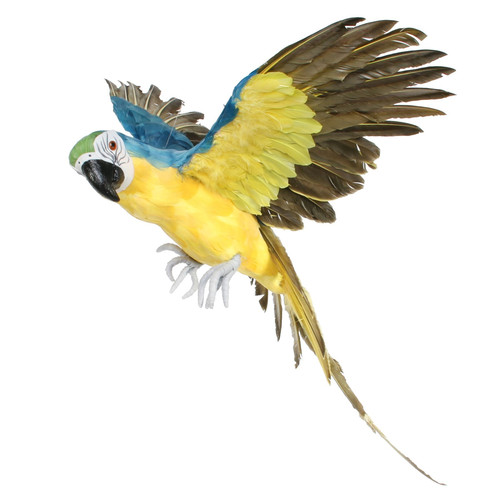 Large Blue Flying Macaw Large Blue Flying Macaw