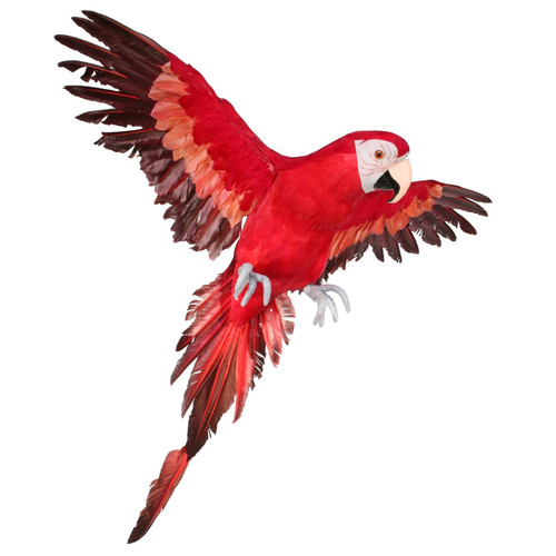 Large Red Flying Macaw