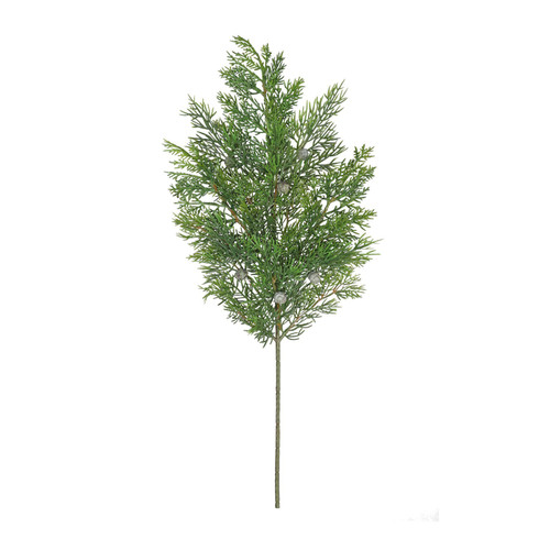 Cypress spray 21.5\" Cypress spray 21.5\"