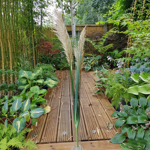 Pampas Spray 2 heads (86cm) Pampas Spray 2 heads (86cm)