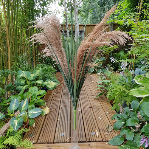 Pampas Bush 3 heads (85cm) Pampas Bush 3 heads (85cm)