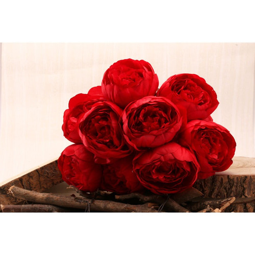 Peony Bunch Red 40cm Peony Bunch Red 40cm