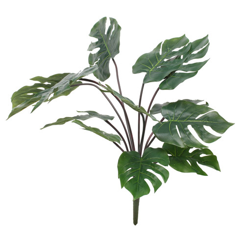 Monstera Bush (26inch) Monstera Bush (26inch)