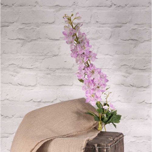 Cottage Garden Delphinium Purple 