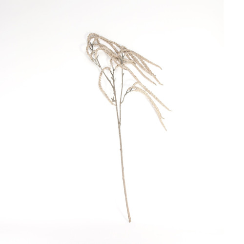 Gold Willow Spray Gold Willow Spray