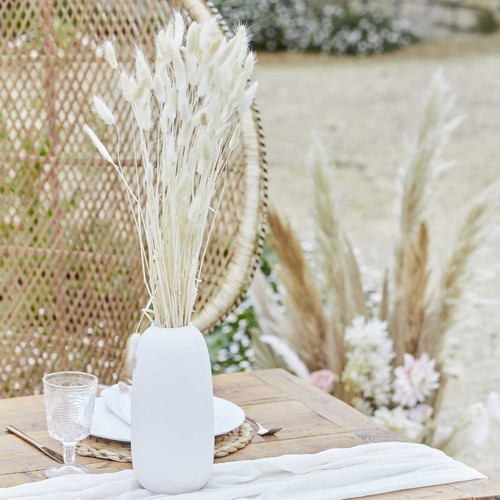 Off White Bunny Tails (Pack of 20 Stems) Off White Bunny Tails (Pack of 20 Stems)