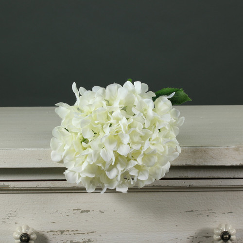 Tintagel Hydrangea White Tintagel Hydrangea White