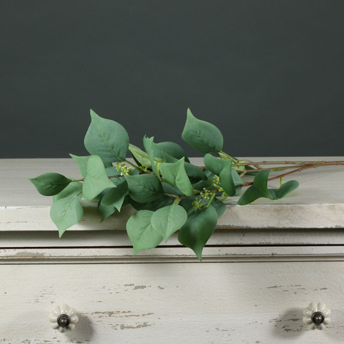 Tintagel Seeded Eucalyptus Tintagel Seeded Eucalyptus