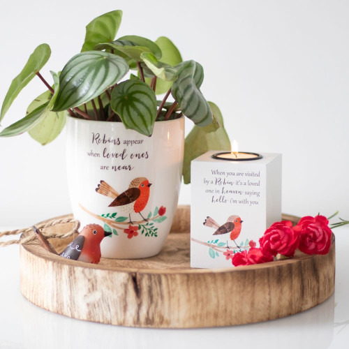Winter Robin Ceramic Plant Pot Winter Robin Ceramic Plant Pot