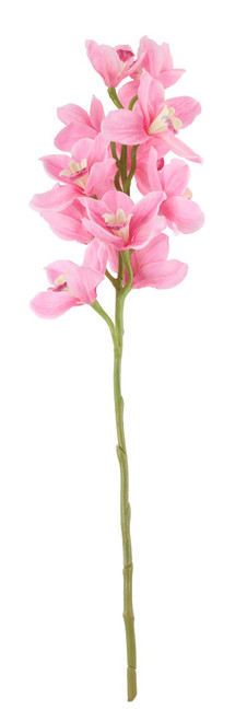 Tintagel Cymbidium Orchid Pink Tintagel Cymbidium Orchid Pink
