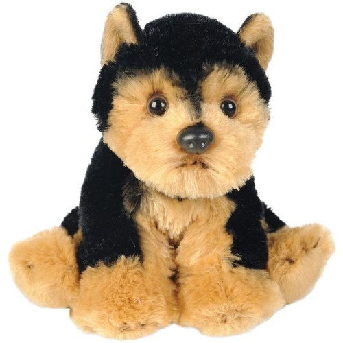 Yomiko Sitting Yorkshire Terrier Dog Yomiko Sitting Yorkshire Terrier Dog
