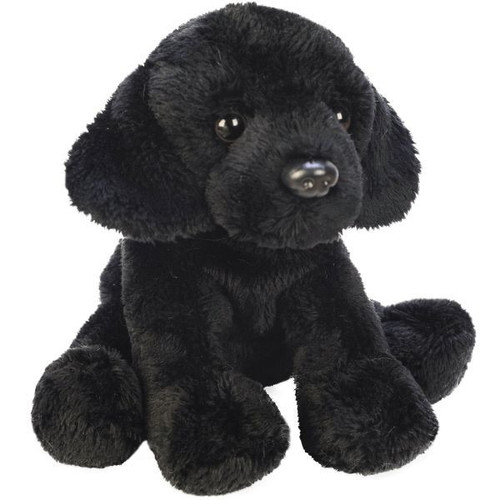Yomiko Sitting Black Labrador Dog Yomiko Sitting Black Labrador Dog