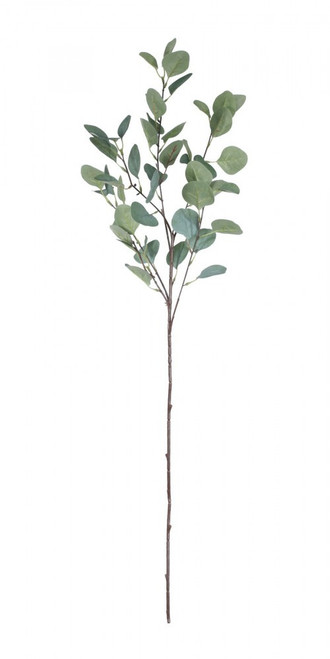 Single Eucalyptus Silver Dollar Stem (90cm) Single Eucalyptus Silver Dollar Stem (90cm)