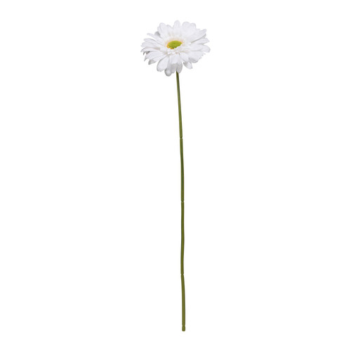 Single White Gerbera (72cm)