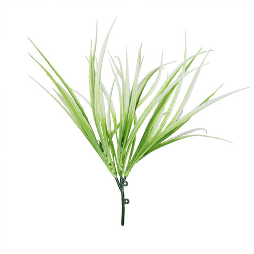 White Hardy Grass (30cm) White Hardy Grass (30cm)