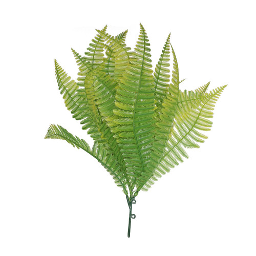 Light Green Shady Fern (30cm) Light Green Shady Fern (30cm)