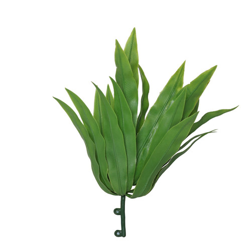 Green Birdy Fern (22cm) Green Birdy Fern (22cm)