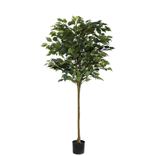 Artificial Ficus Tree (160cm) Artificial Ficus Tree (160cm)